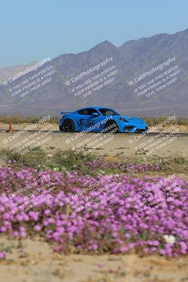 media/Jan-29-2023-PCA San Diego (Sun) [[aa0301ccc2]]/Yellow Group/Session 1 (Turn 15 Bloom)/